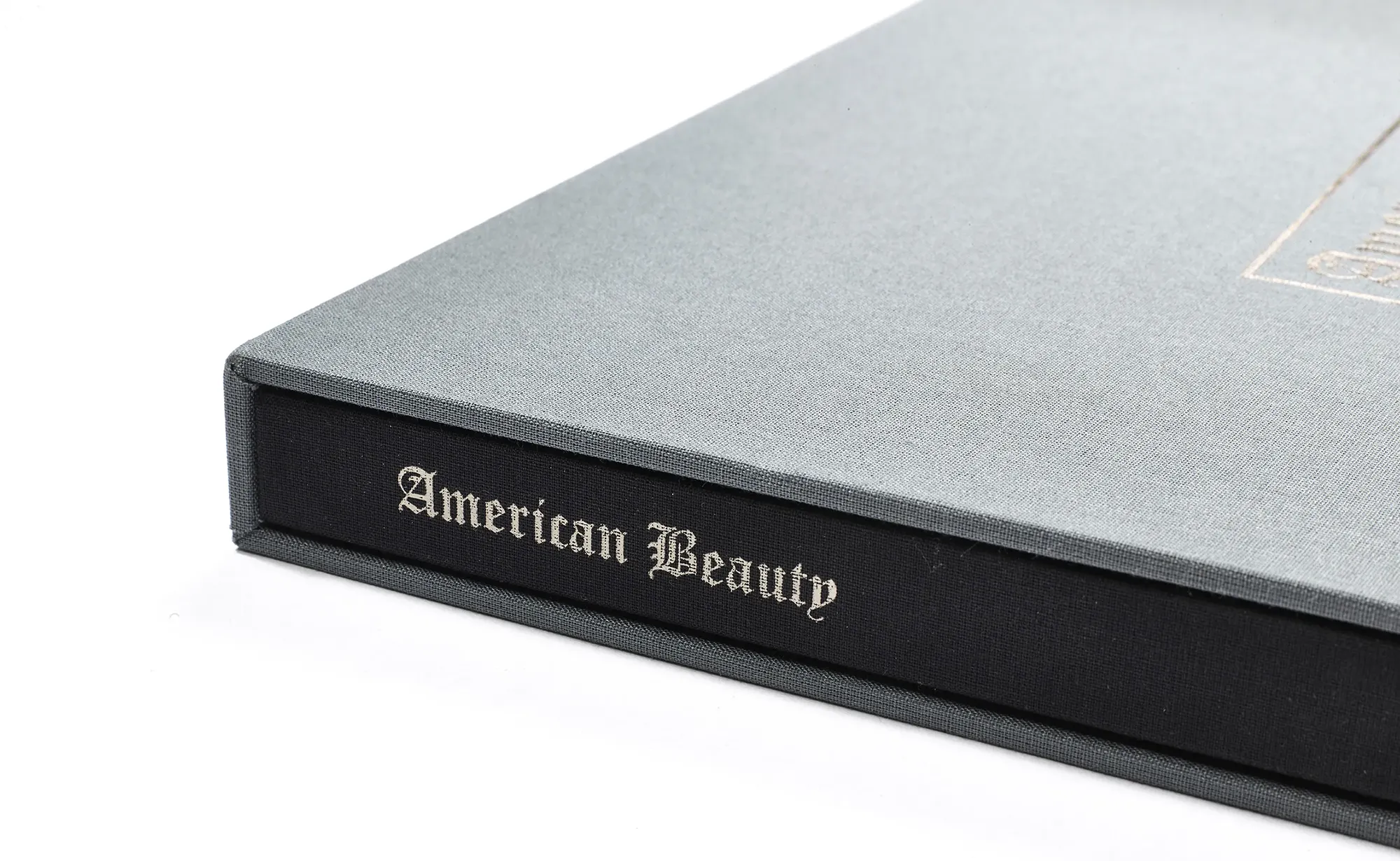 Book spine detail with silver foil